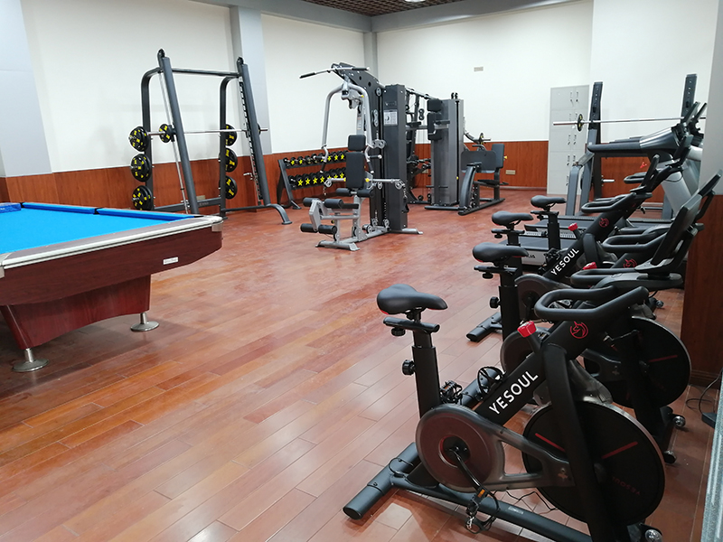 室内健身器材-单位健身器材